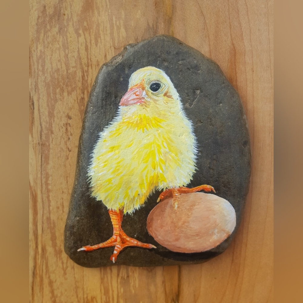 Baby chick Handpainted On A Rock